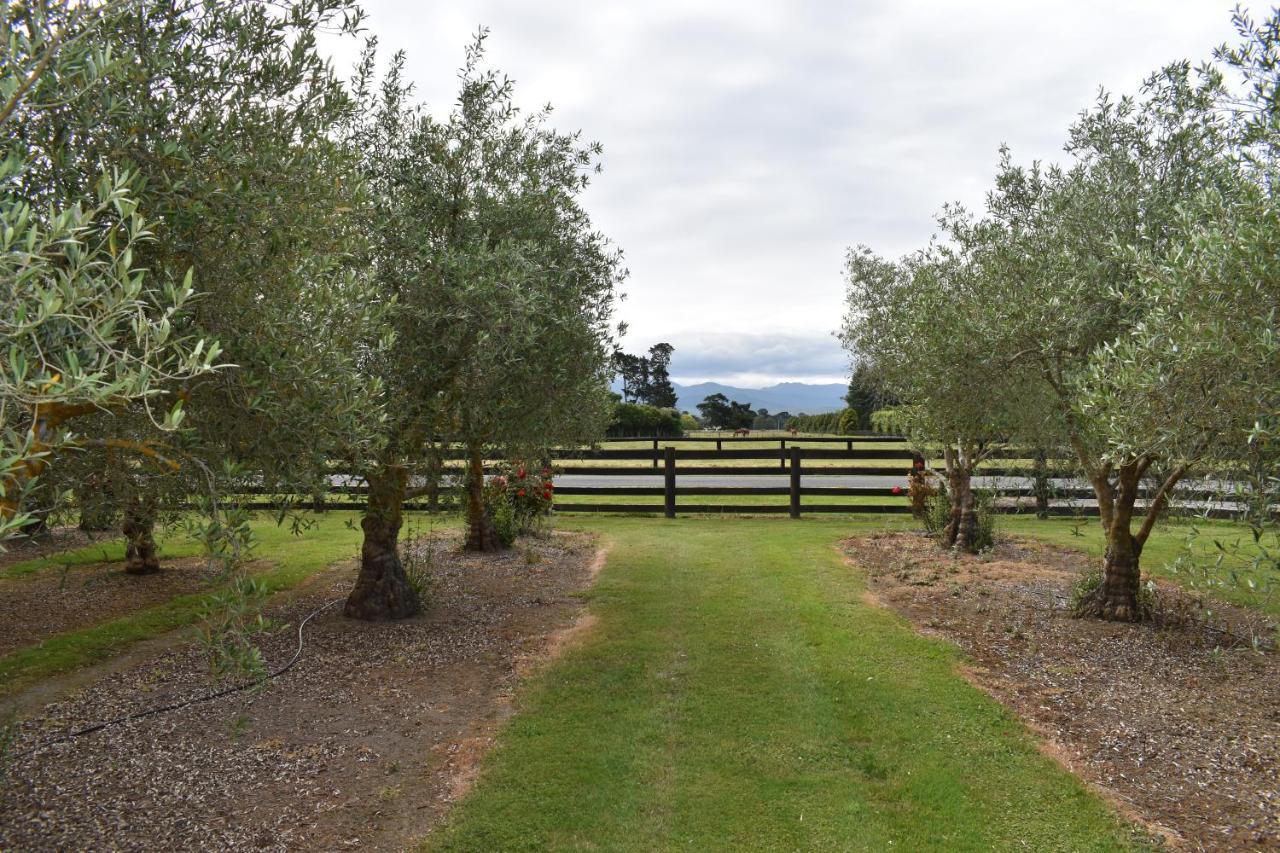 Olivista Bed & Breakfast Masterton Luaran gambar